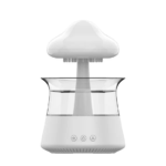 Rain Cloud Air Humidifier