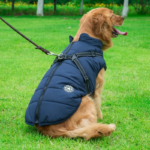 Wasserdichte Hundewinterjacke mit Geschirr