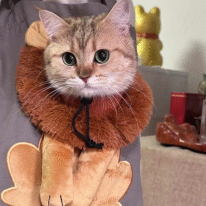Katze Schultertasche